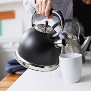 Vibrant Enamel Stovetop Whistling Kettle